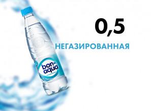 95 Бонаква "БЕЗ ГАЗА" ( 0.5 )